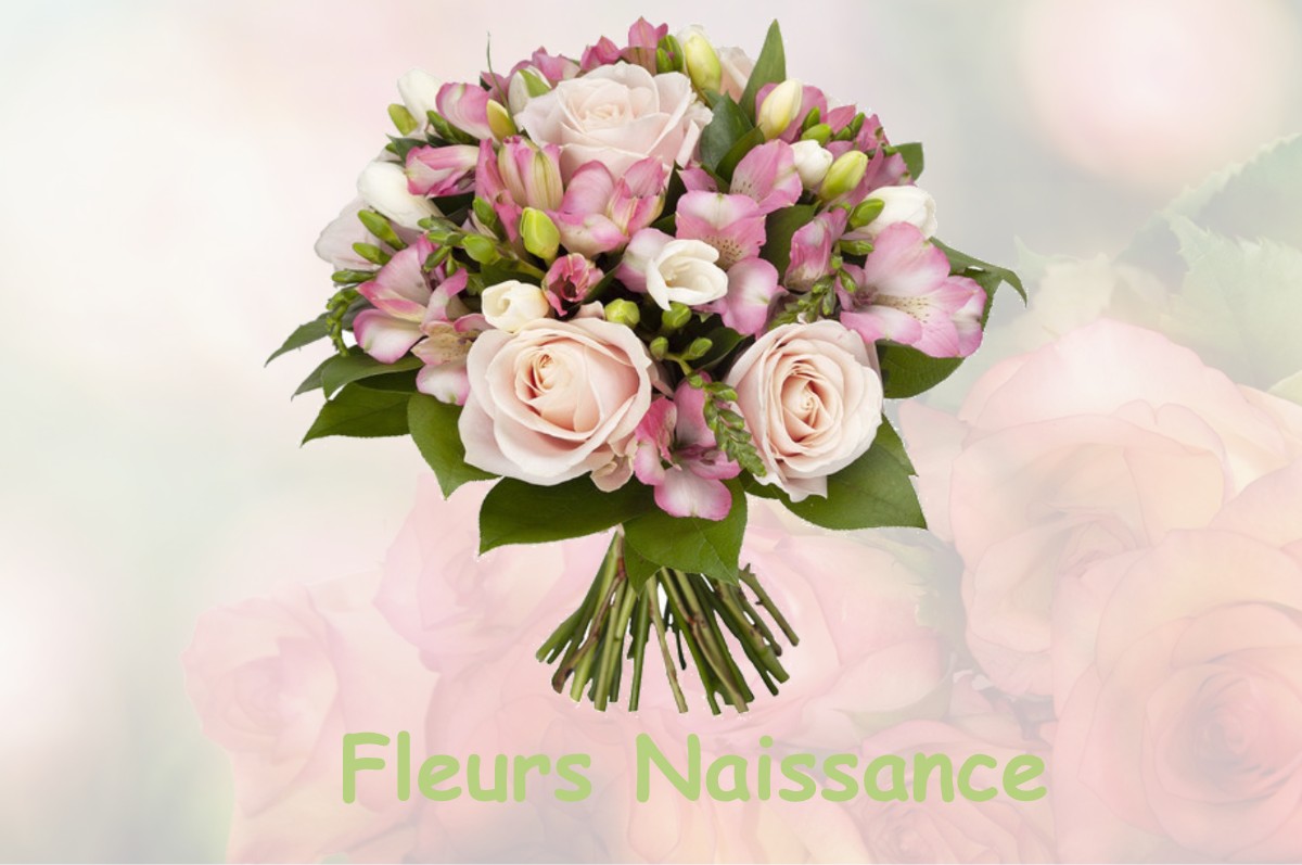 fleurs naissance VERREY-SOUS-SALMAISE